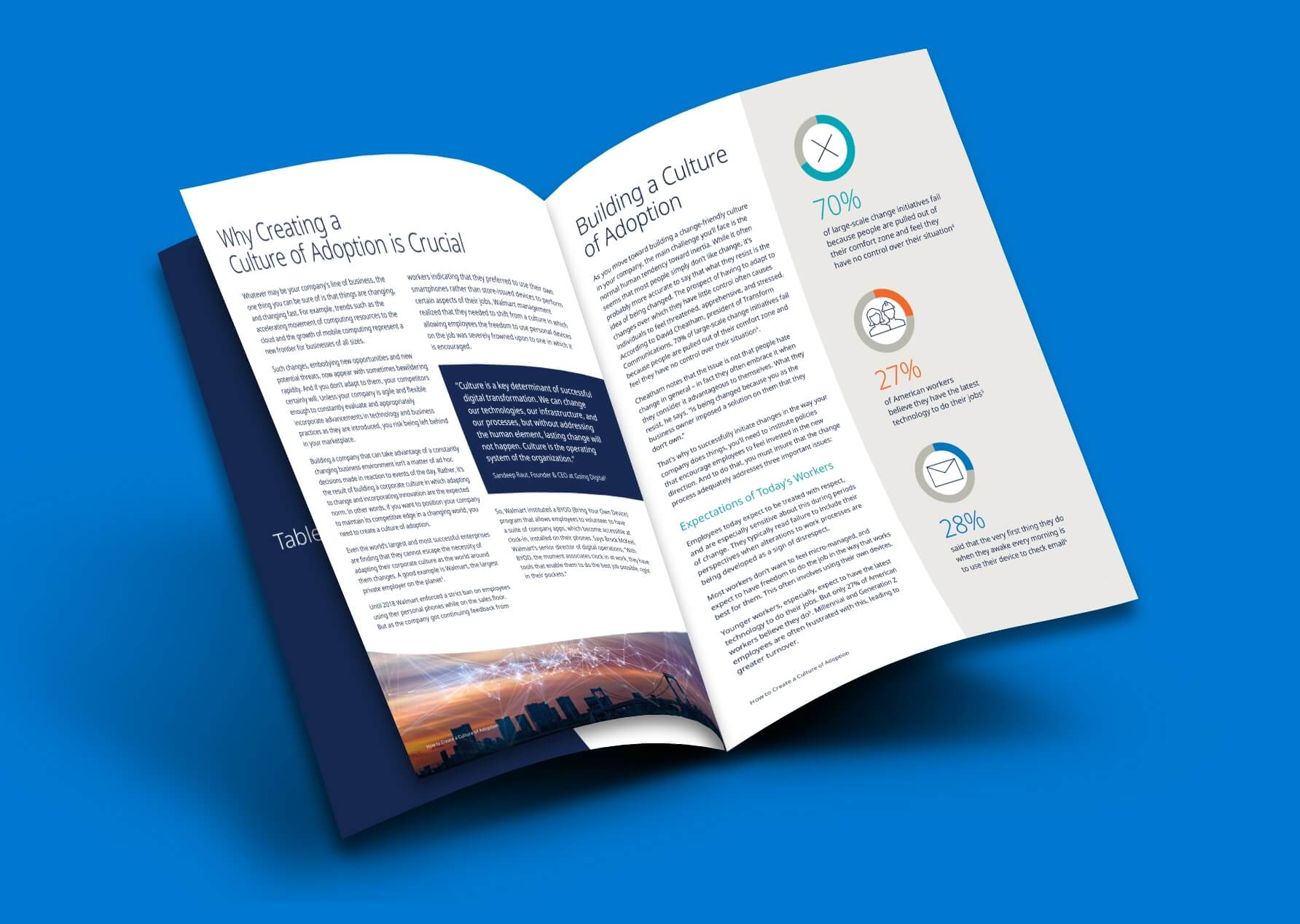 ebook-mockup-culture-of-adoption2