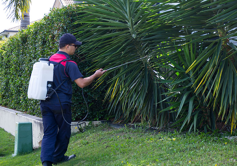 pest control